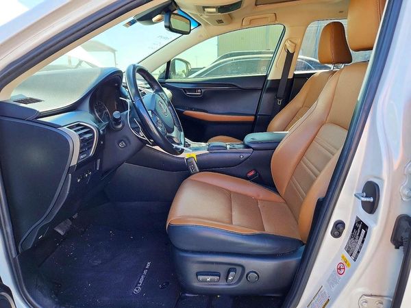 2018 LEXUS NX 300 300 Luxury