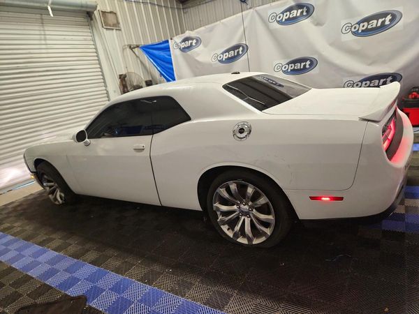 2019 DODGE CHALLENGER