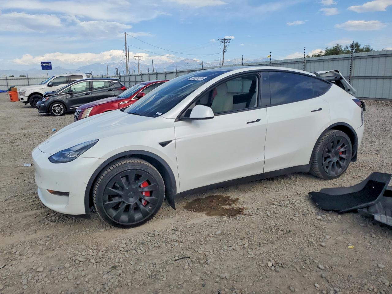 2021 TESLA MODEL Y