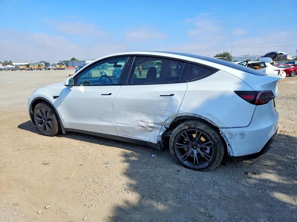 2025 TESLA MODEL Y
