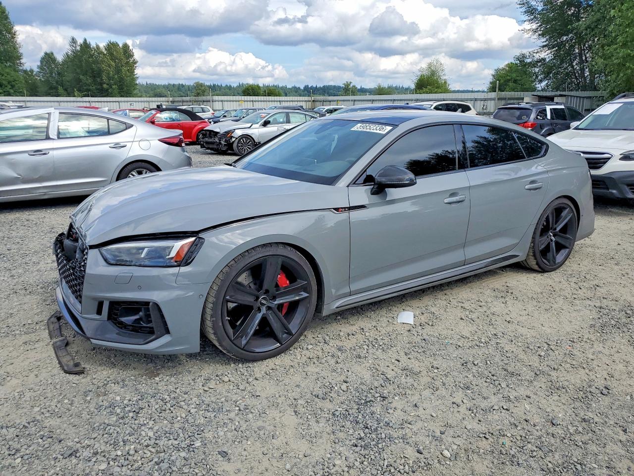 2019 AUDI RS5 quattro