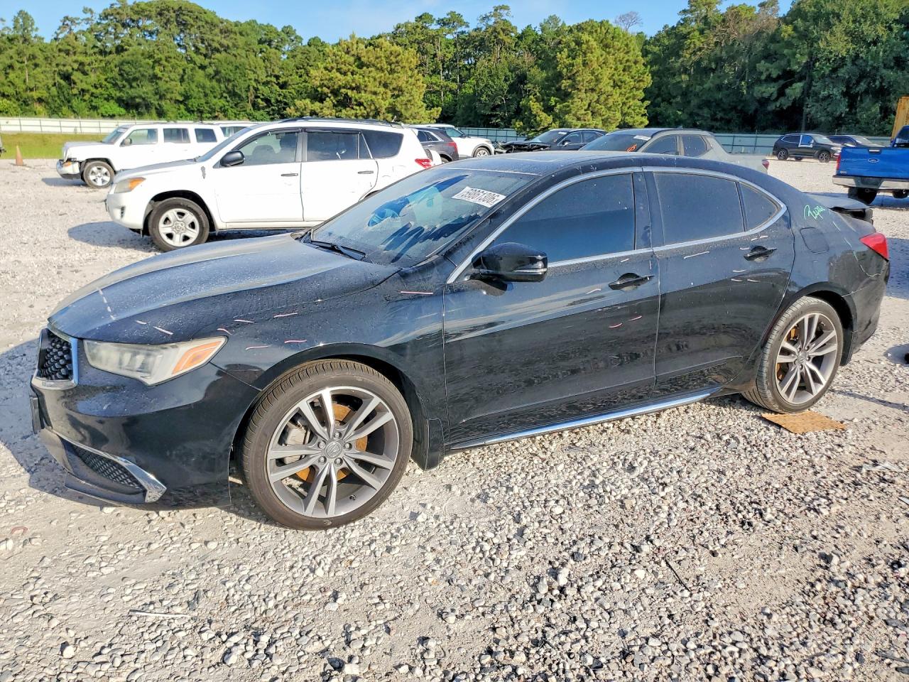 2019 ACURA TLX TEC19 V6