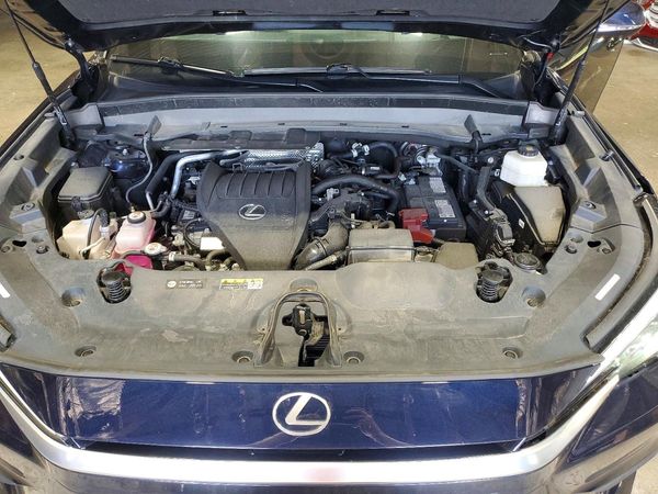2024 LEXUS TX 350