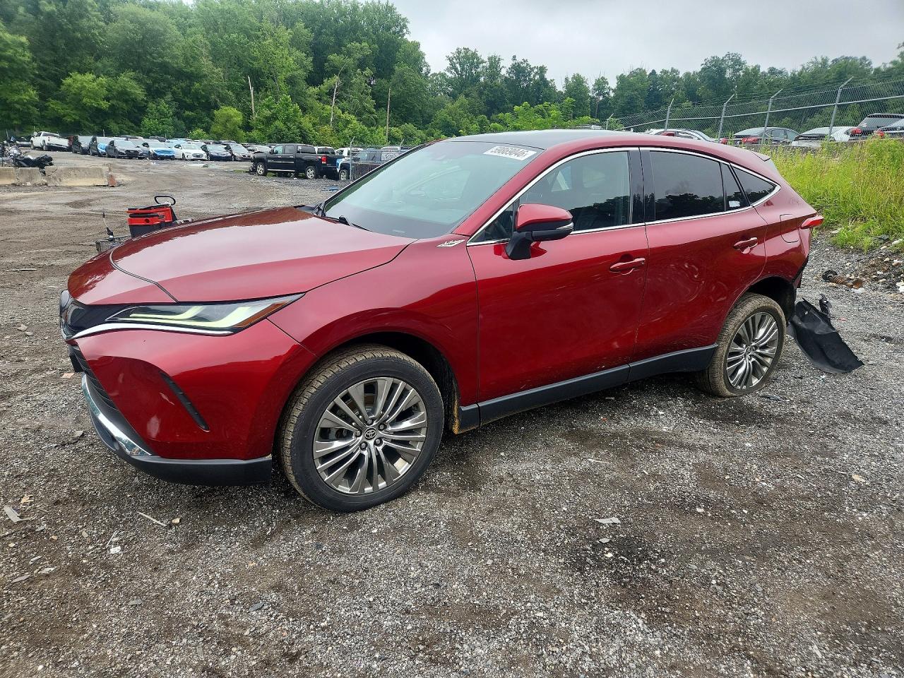 2023 TOYOTA VENZA