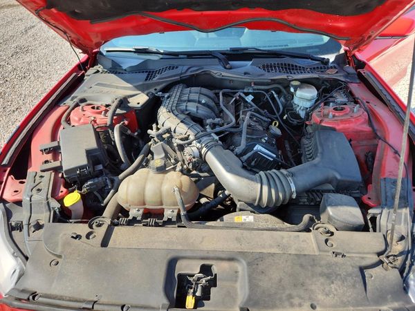 2017 FORD MUSTANG V6 Coupe