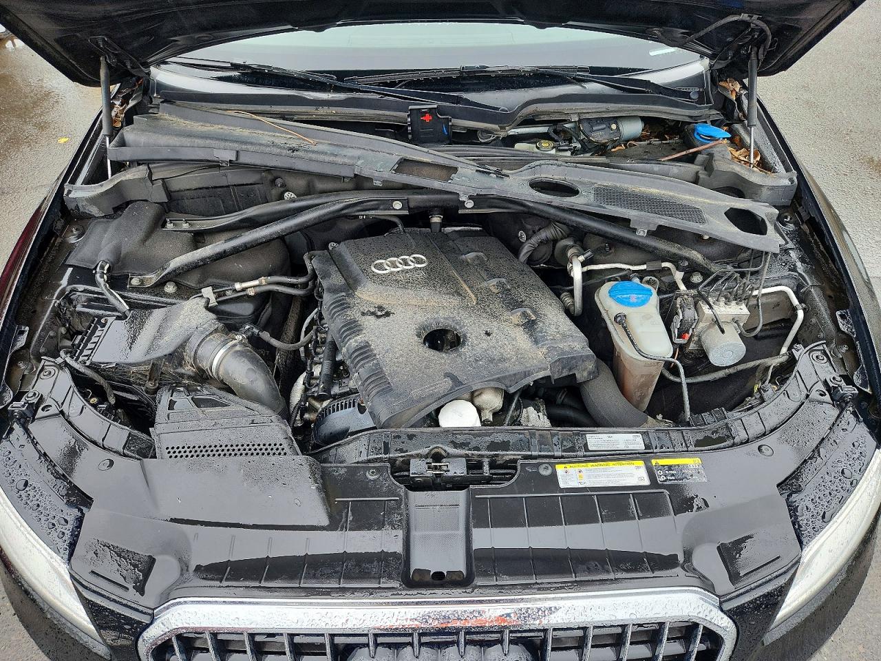 2017 AUDI Q5 quattro Premium Plus
