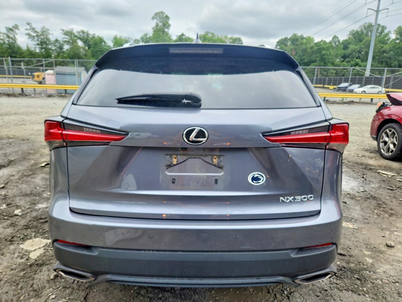 2018 LEXUS NX 300 300 Luxury