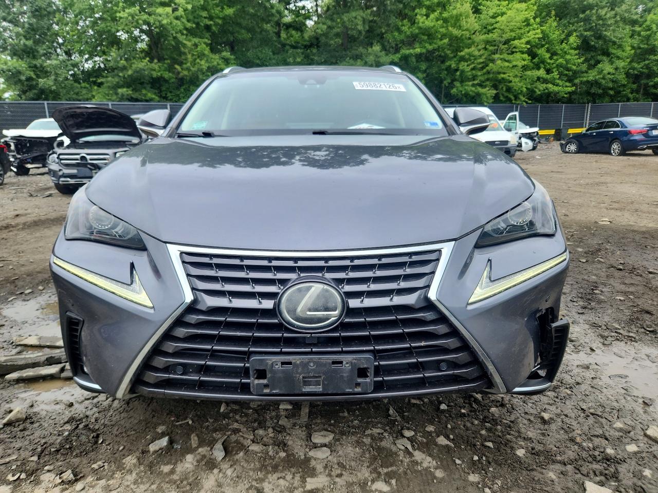 2018 LEXUS NX 300 300 Luxury