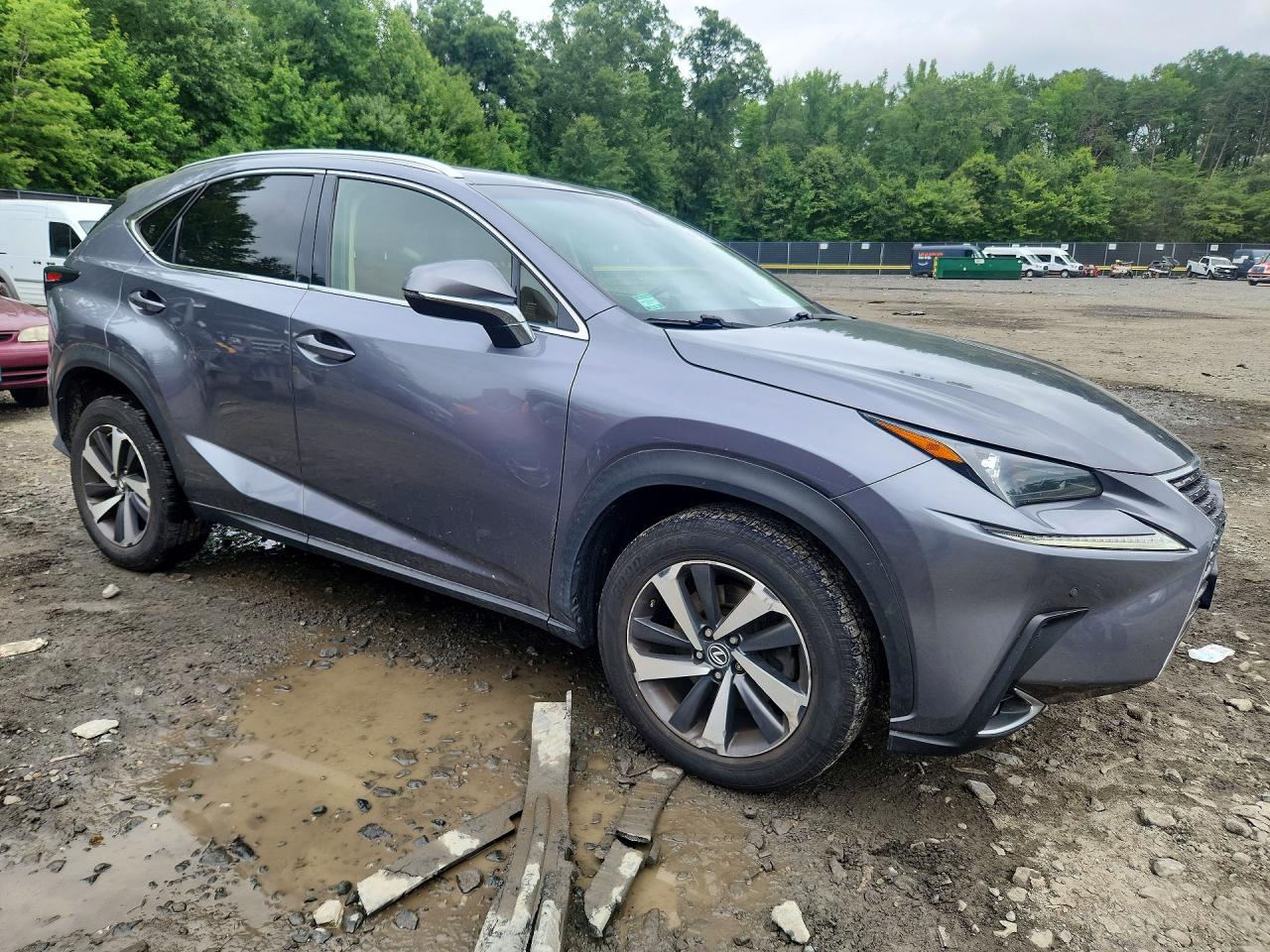 2018 LEXUS NX 300 300 Luxury