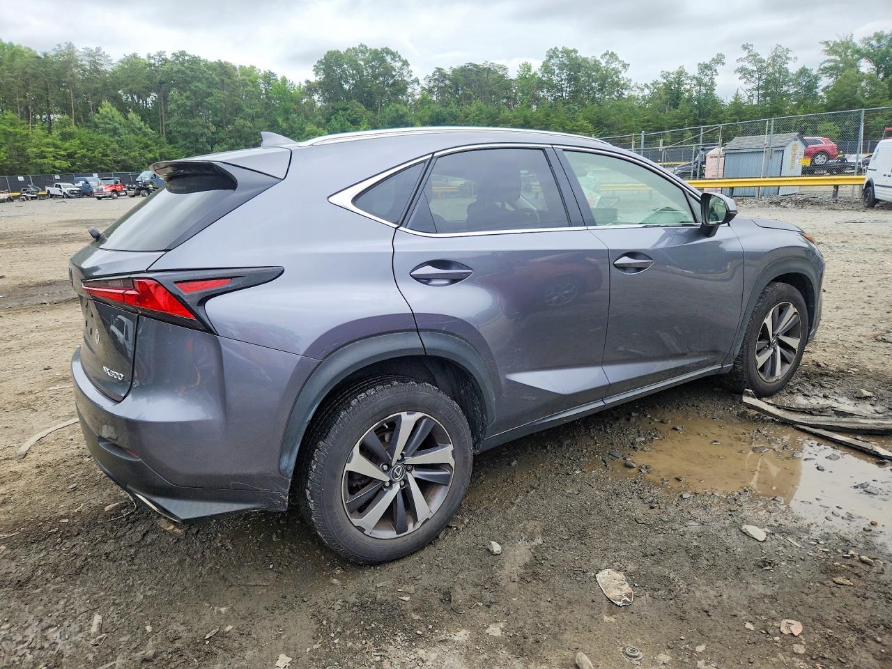 2018 LEXUS NX 300 300 Luxury