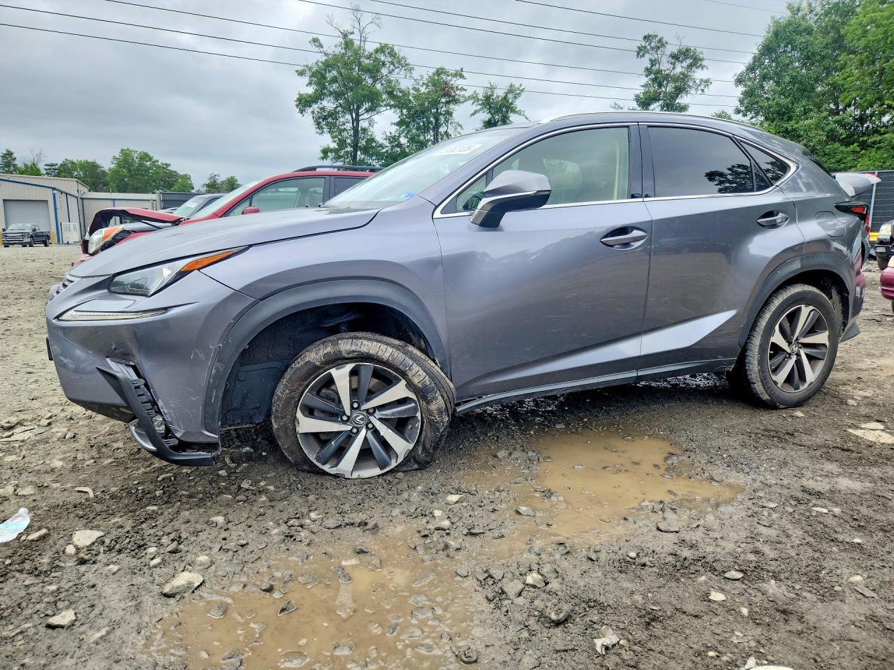 2018 LEXUS NX 300 300 Luxury
