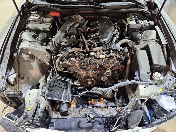2023 LEXUS IS 350 350 (Others)