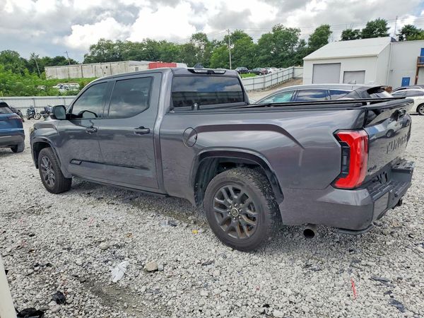 2022 TOYOTA TUNDRA Platinum