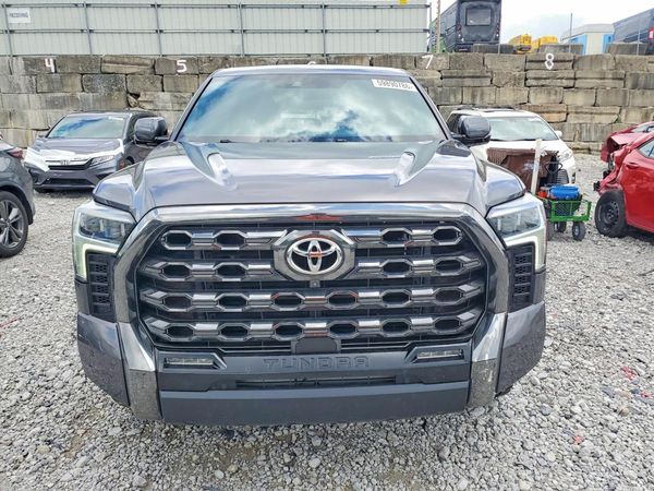 2022 TOYOTA TUNDRA Platinum