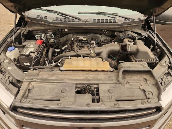 2020 FORD F150