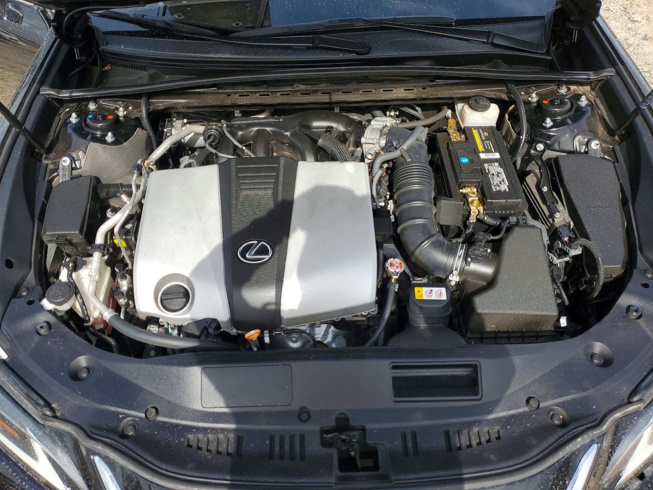 2020 LEXUS ES 350 Luxury
