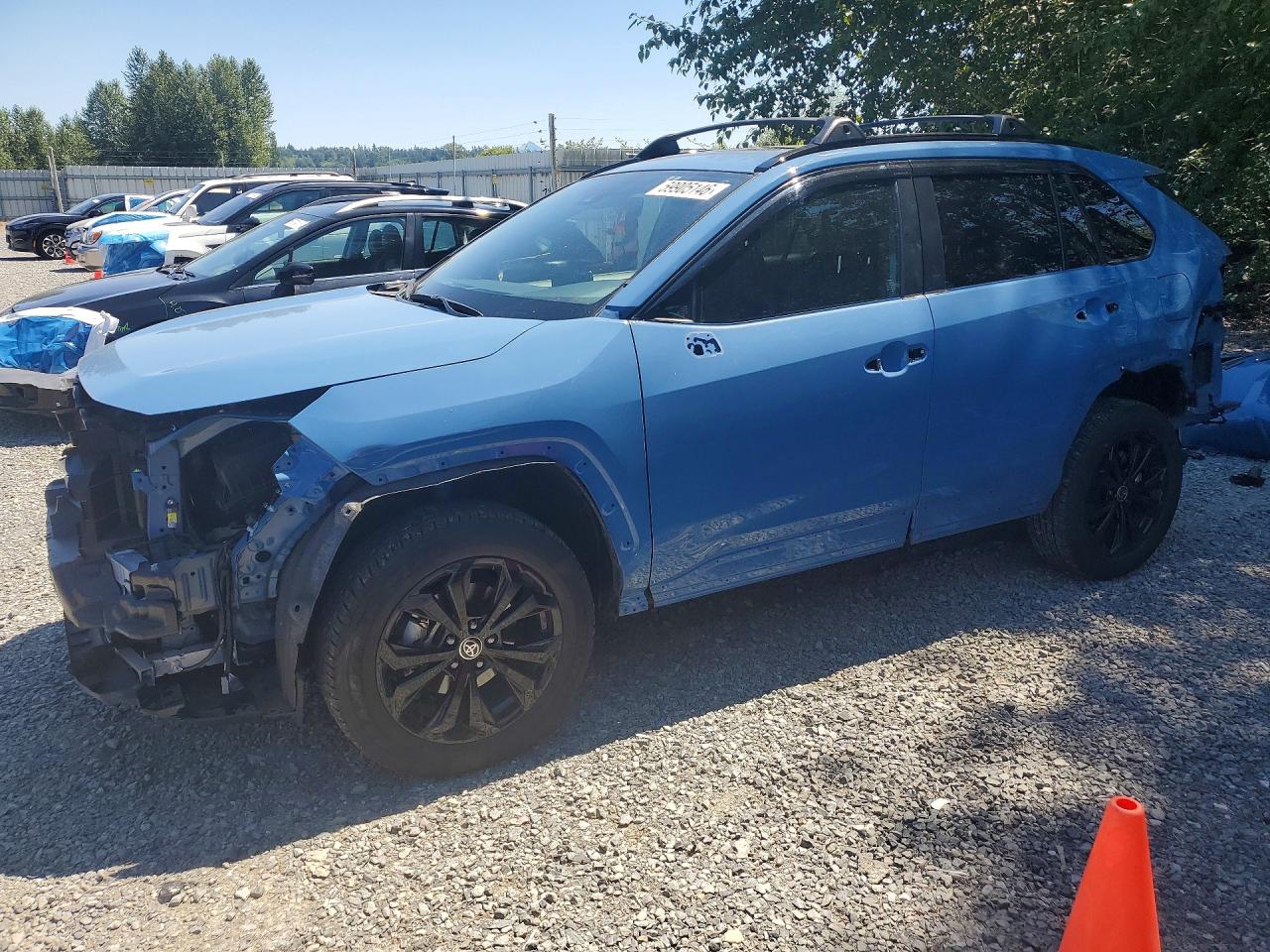 2025 TOYOTA RAV4 SE