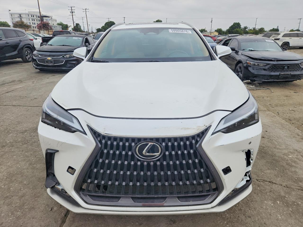 2024 LEXUS NX 350H