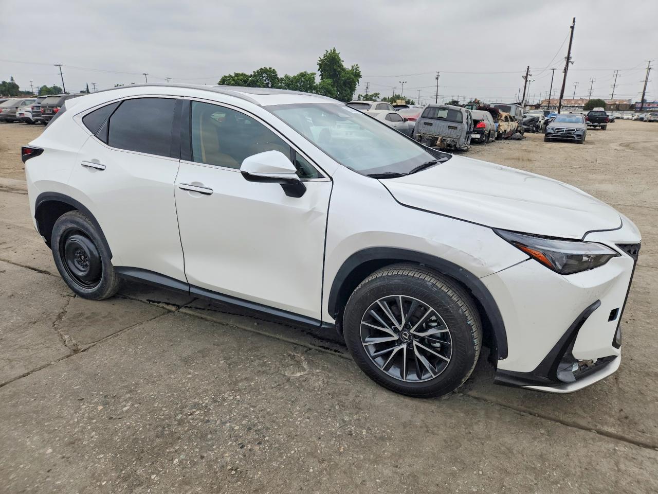 2024 LEXUS NX 350H 350h Premium