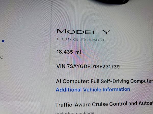 2025 TESLA MODEL Y