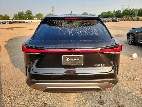 2025 LEXUS RX 350