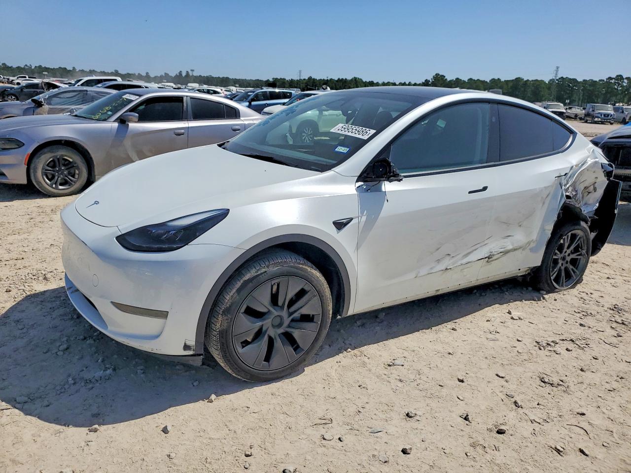 2025 TESLA MODEL Y