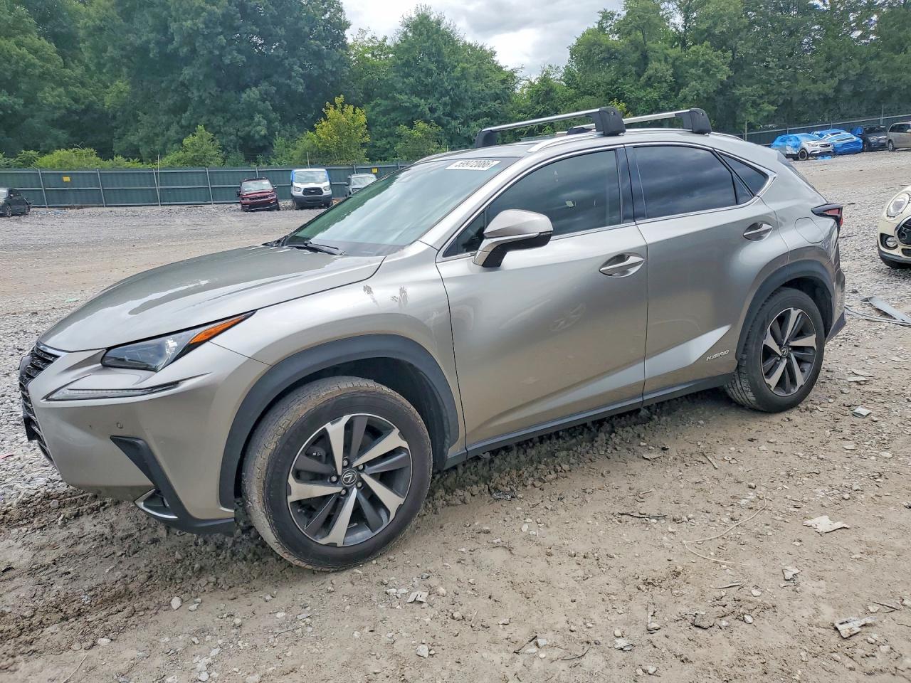 2019 LEXUS NX 300H Luxury