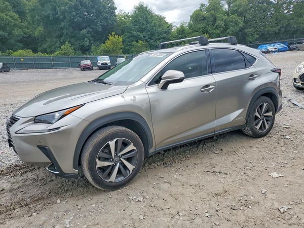 2019 LEXUS NX 300H Luxury