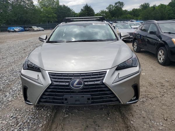 2019 LEXUS NX 300H Luxury