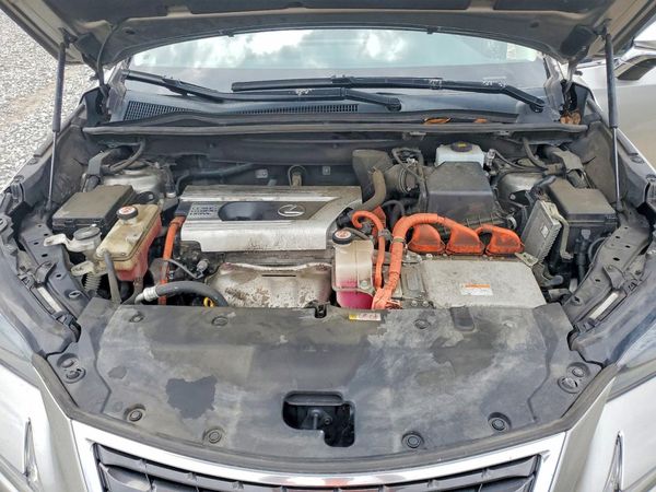 2019 LEXUS NX 300H Luxury