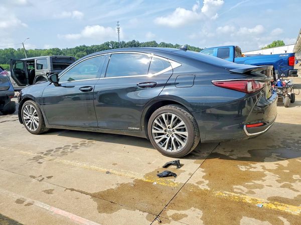 2019 LEXUS ES 300h
