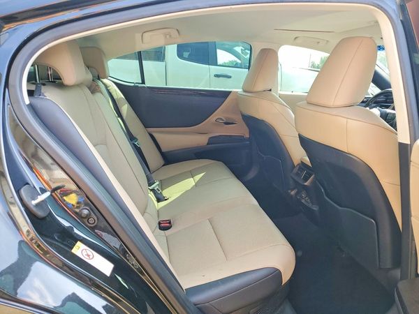 2019 LEXUS ES 300h