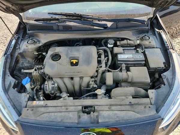 2019 KIA FORTE FE/LX/LXS