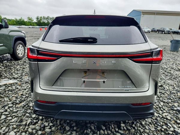 2023 LEXUS NX