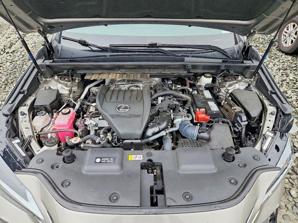 2023 LEXUS NX