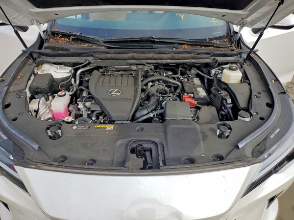 2024 LEXUS RX 350