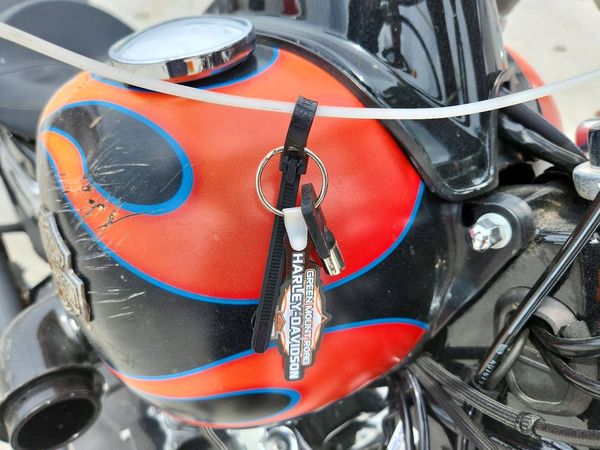 2015 HARLEY-DAVIDSON FXDWG