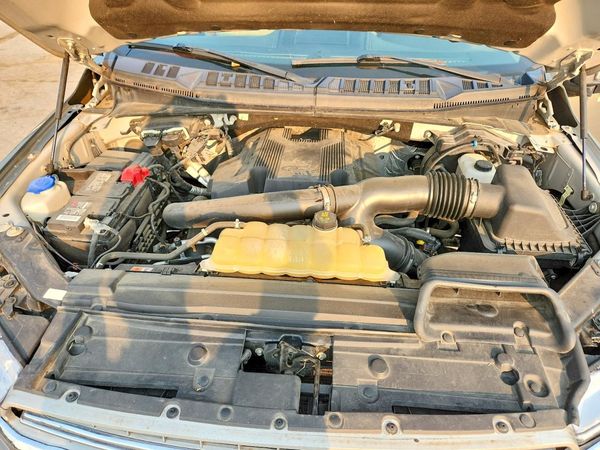 2019 FORD F150