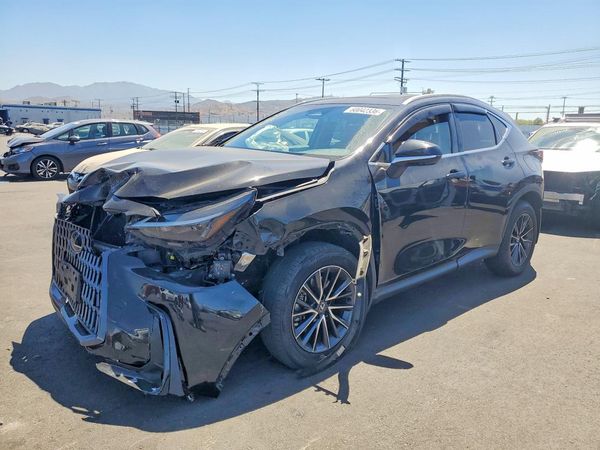 2025 LEXUS NX