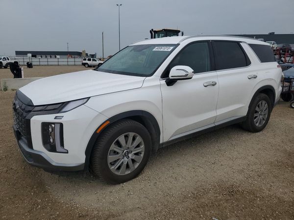 2023 HYUNDAI PALISADE