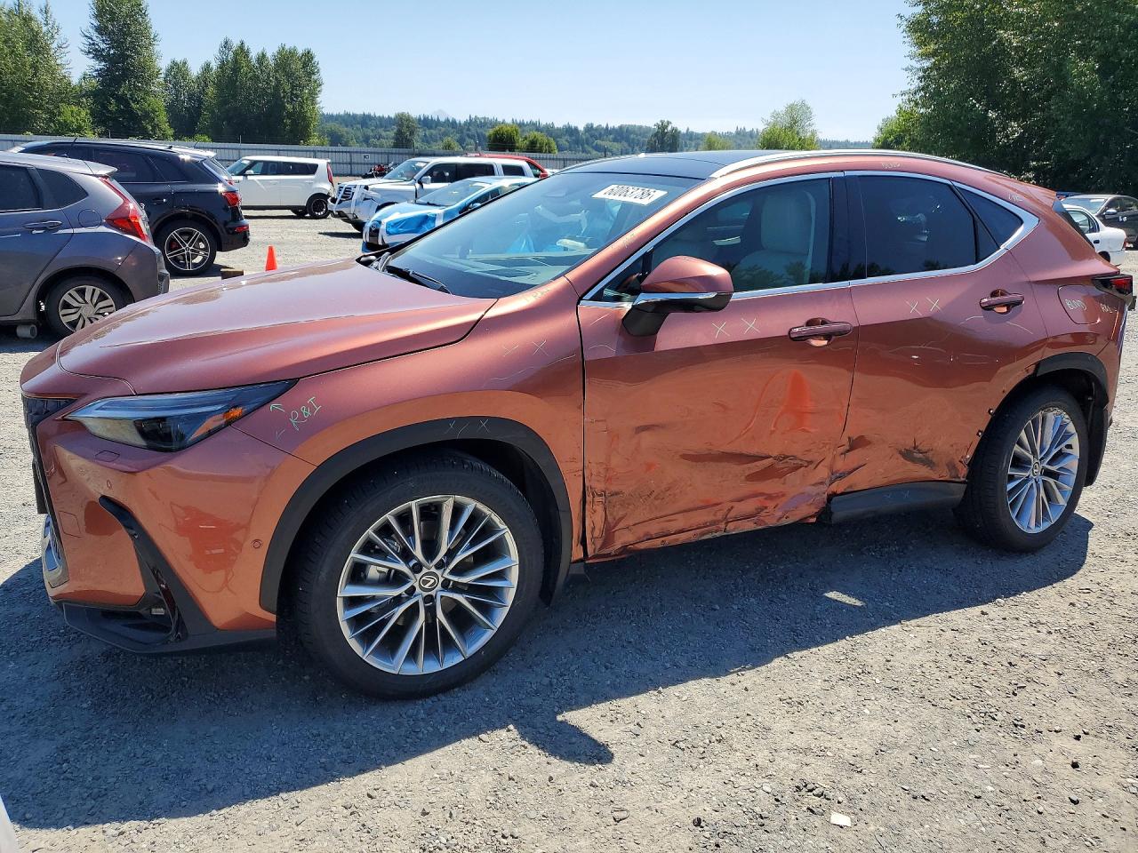 2026 LEXUS NX 350H 350h Luxury