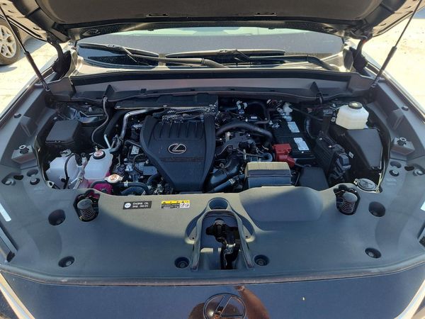 2026 LEXUS TX 350