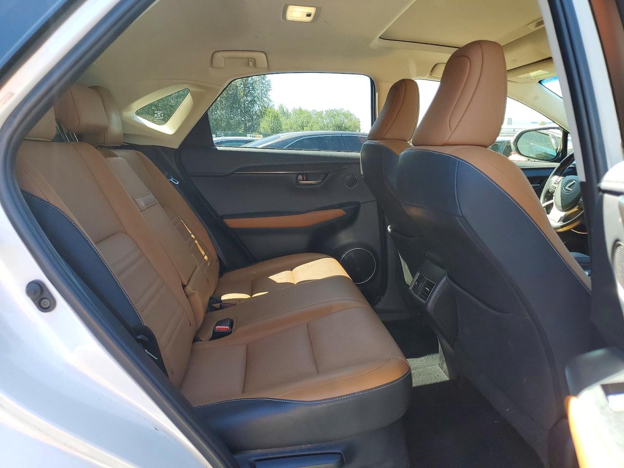 2018 LEXUS NX 300 300 Luxury