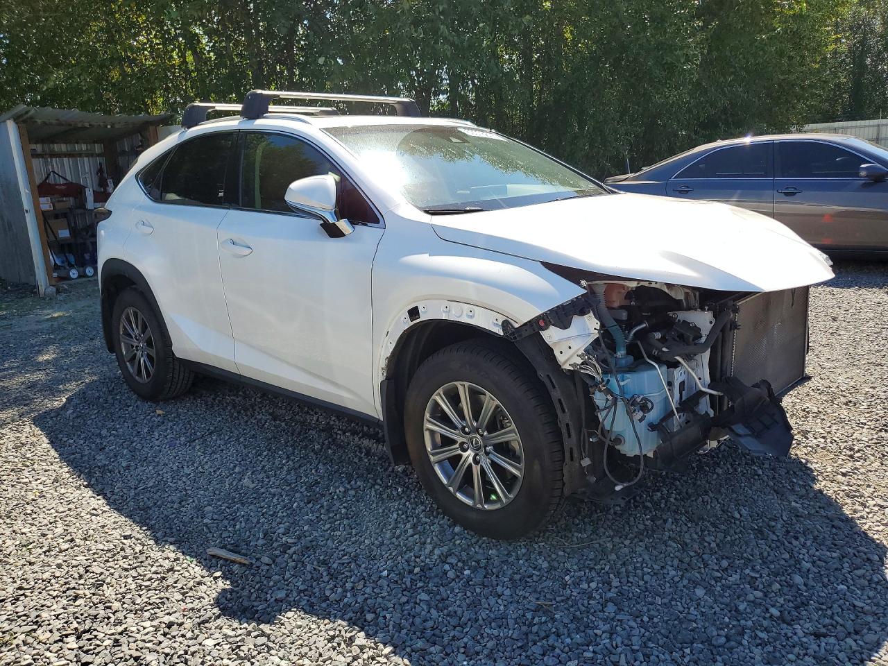 2018 LEXUS NX 300 300 Luxury