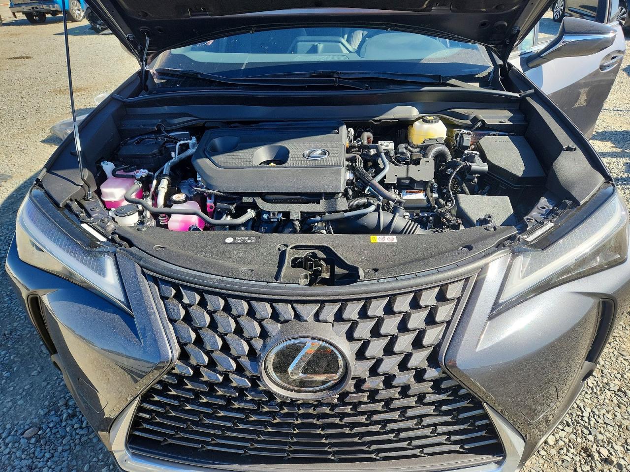 2026 LEXUS UX 300H