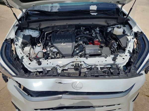 2025 LEXUS TX 350