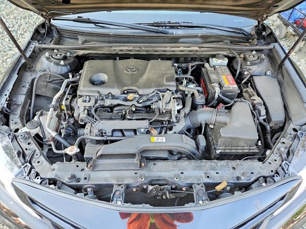 2019 TOYOTA CAMRY L/LE/SE/XLE