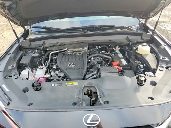 2025 LEXUS TX 350