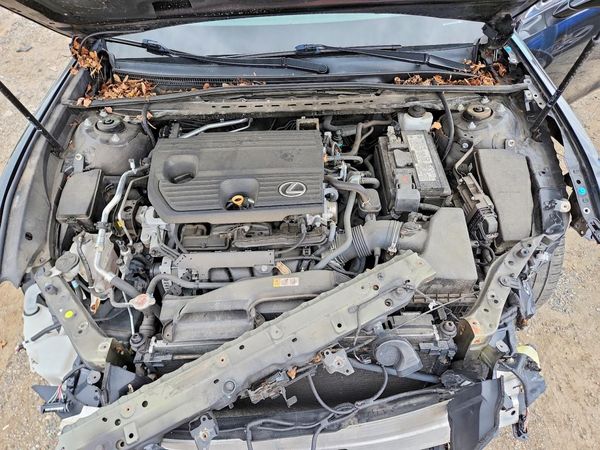 2022 LEXUS ES 250 250 Premium