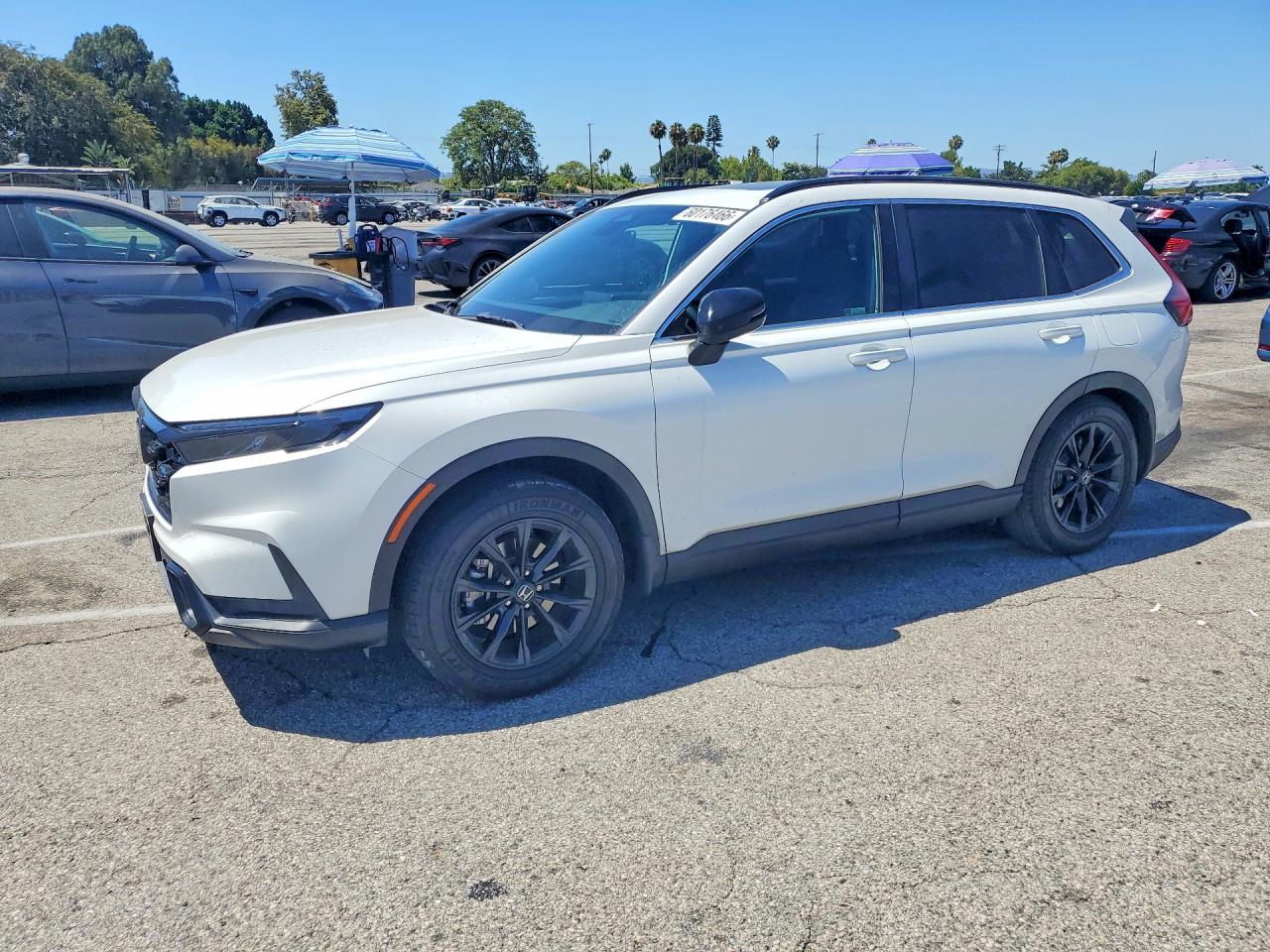 2023 HONDA CR-V Sport